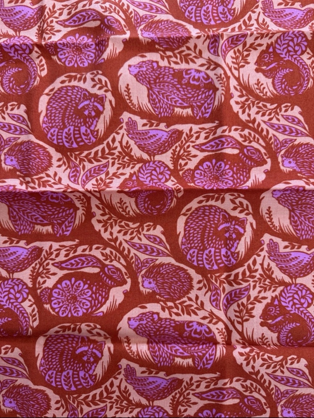 Tula Pink Slow & Steady Grandstand Orange Crush Rust Quilting Cotton Fat Quarter